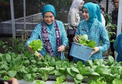 Ketua TP PKK Sumsel Feby Deru Dorong Kebun Wisata dan Desa Percontohan Saat Kunjungan ke OKI