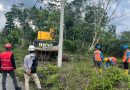 Jelang Idul Adha, PLN dan DLH Tanjab Barat Percepat Pembangunan Jaringan Listrik demi Keandalan Pasokan Masyarakat