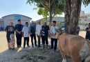 Momen Penyembelihan Hewan Kurban Idul Adha 1447H, Pererat Silaturahmi dan Komitmen Bersama Unggulkan UPGRIP “Melaju Dengan Mutu”