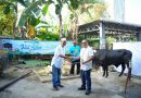 PLN UID S2JB Tebar Kepedulian Lewat Qurban, Hadirkan Kebahagiaan untuk Masyarakat Sekitar dalam Momentum Idul Adha