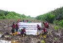 Perkuat Komitmen ESG, Pertamina Patra Niaga Kilang Plaju bersama Project R&P Sumatera Tanam 7.500 Bibit Pelestarian Mangrove