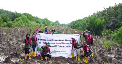 Perkuat Komitmen ESG, Pertamina Patra Niaga Kilang Plaju bersama Project R&P Sumatera Tanam 7.500 Bibit Pelestarian Mangrove