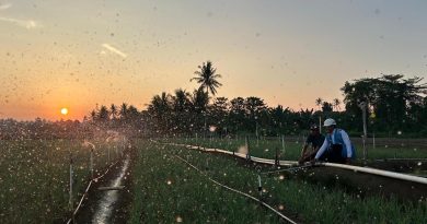 PLN Pastikan Tarif Listrik Triwulan III 2026 tidak Naik