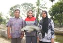 Rawat Alam di Tengah Aktivitas Industri, Kilang Plaju Konsisten Lestarikan Keanekaragaman Hayati