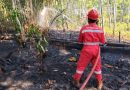 Jaga Keselamatan Bersama, PHR Zona 4 Respon Cepat Padamkan Lebih dari 100 Titik Api Karhutla Sumsel