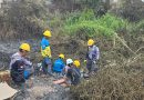Peduli Karhutla, PLN UP3 Palembang Gerak Cepat Pulihkan Infrastruktur Terdampak di Tanjung Api Api