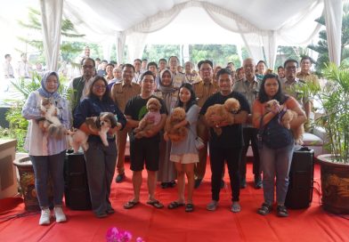 96 Hewan Sudah Divaksin, Karantina Sumsel Kejar Target Bebas Rabies 2030