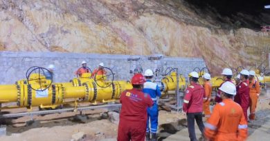 Perkuat Ketahanan Energi, PLN Alirkan Gas Natuna ke Batam Lewat Pipa WNTS–Pemping